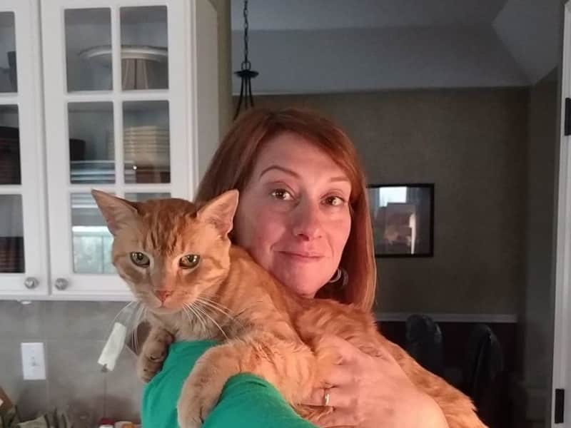 Housesitting assignment in Basel, Switzerland