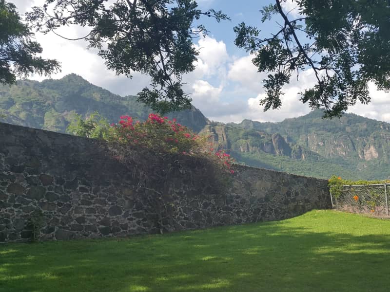 Housesitting assignment in Tepoztlán, Mexico