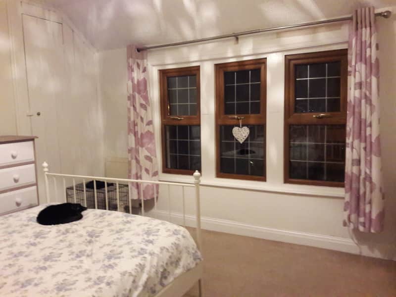 Housesitting assignment in Eastbourne, United Kingdom