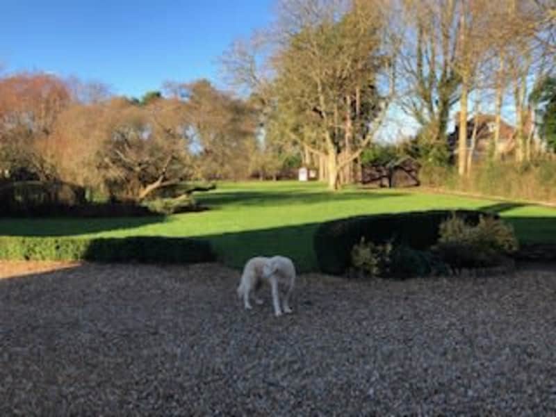 Housesitting assignment in Bath, United Kingdom
