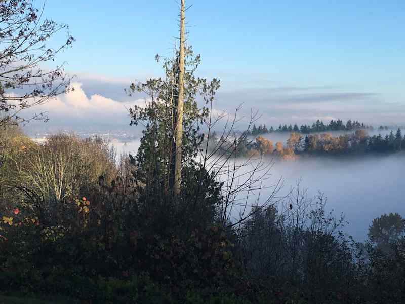 Housesitting assignment in Renton, Washington, United States