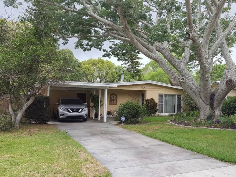 Housesitting assignment in Dunedin, Florida, United States