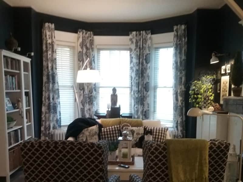 Housesitting assignment in Hamilton, Ontario, Canada