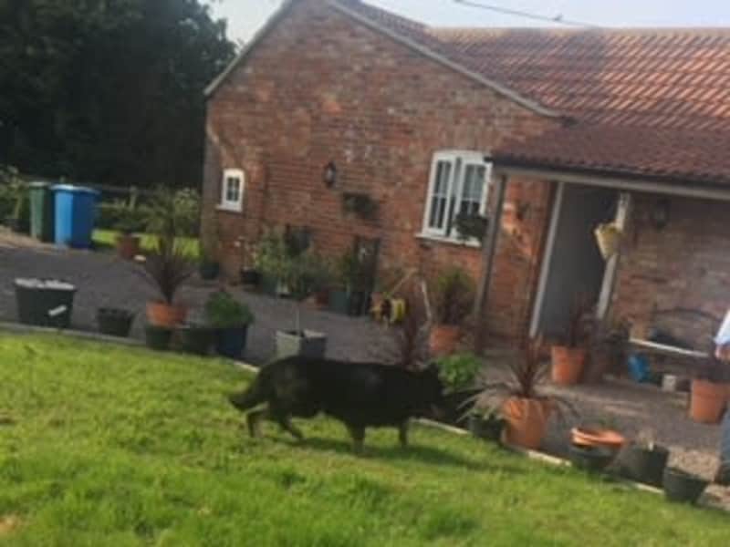 Housesitting assignment in Benington, United Kingdom