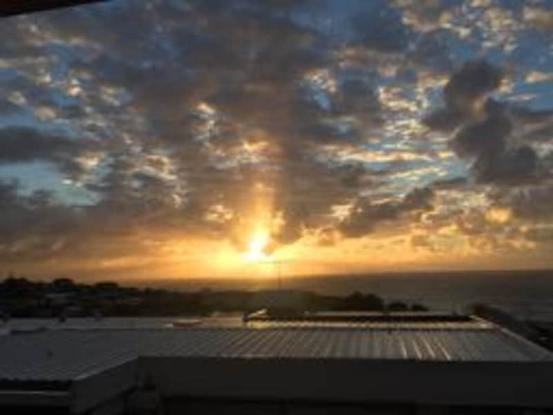 Housesitting assignment in Clovelly, New South Wales, Australia