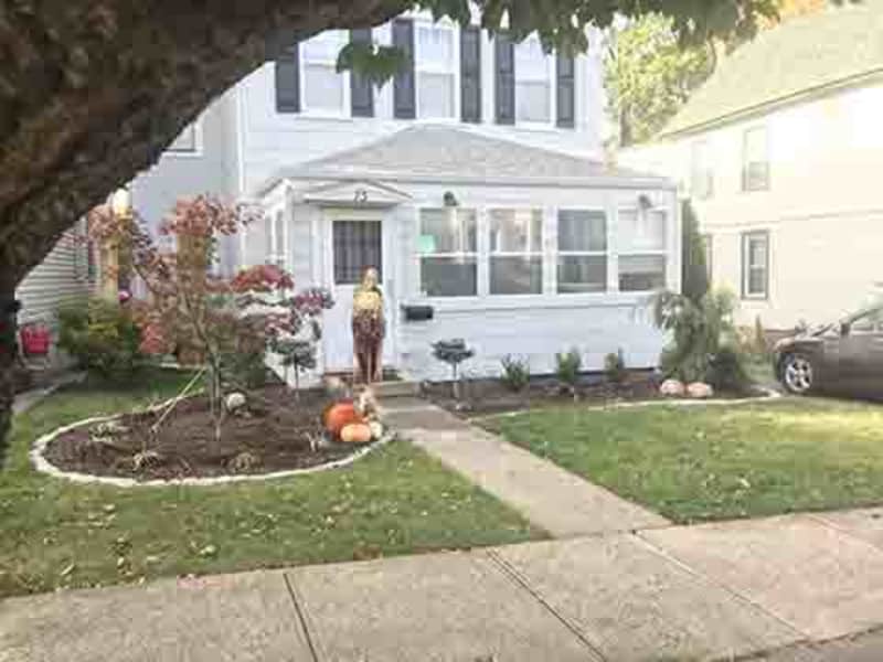 Housesitting assignment in South Orange, New Jersey, United States