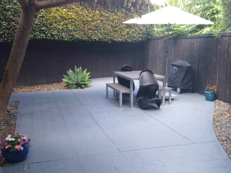 Housesitting assignment in Auckland, New Zealand