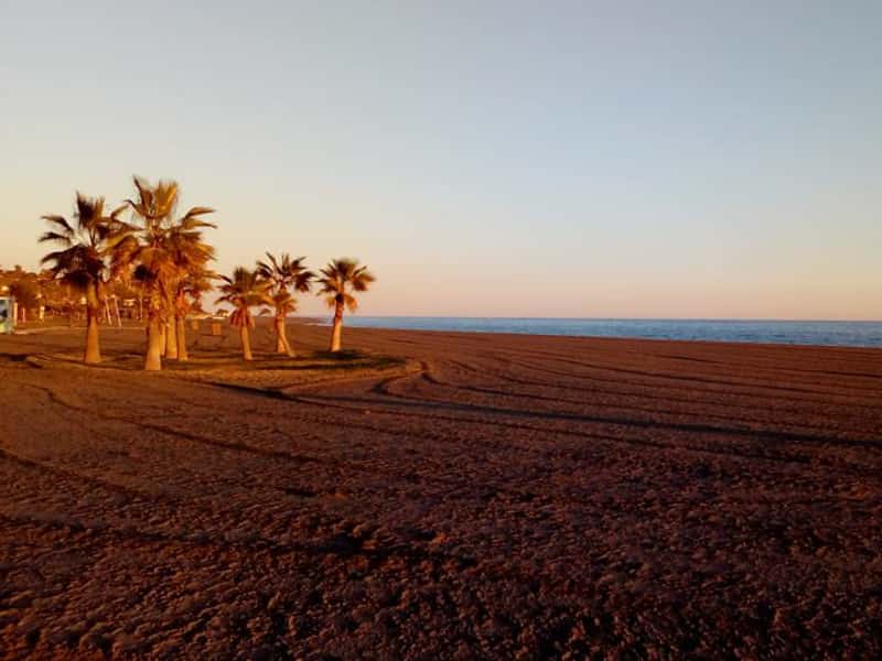Housesitting assignment in Torrox, Spain