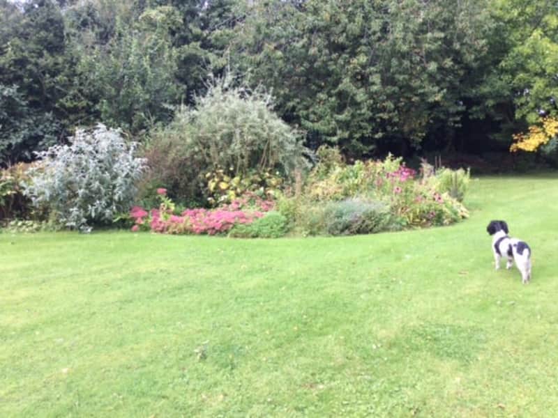 Housesitting assignment in Freshford, Ireland