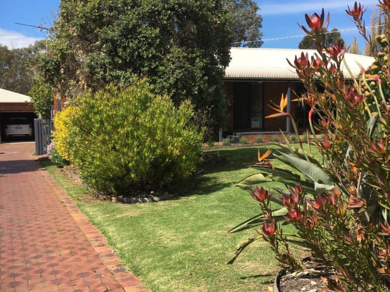 Housesitting assignment in Melbourne, Victoria, Australia