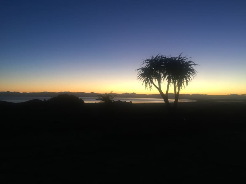 Housesitting assignment in Mangatangi, New Zealand