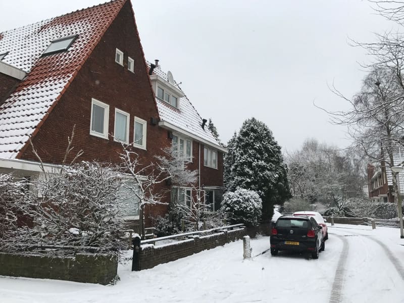 Housesitting assignment in Amstelveen, Netherlands