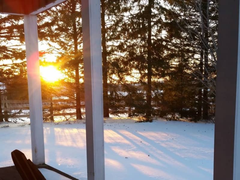 Housesitting assignment in Chesley, Ontario, Canada