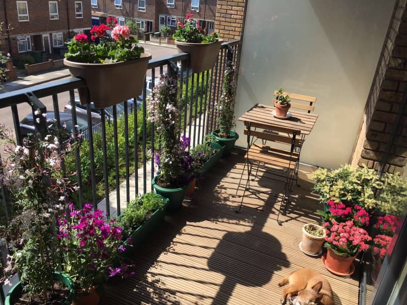 Housesitting assignment in City of London, United Kingdom
