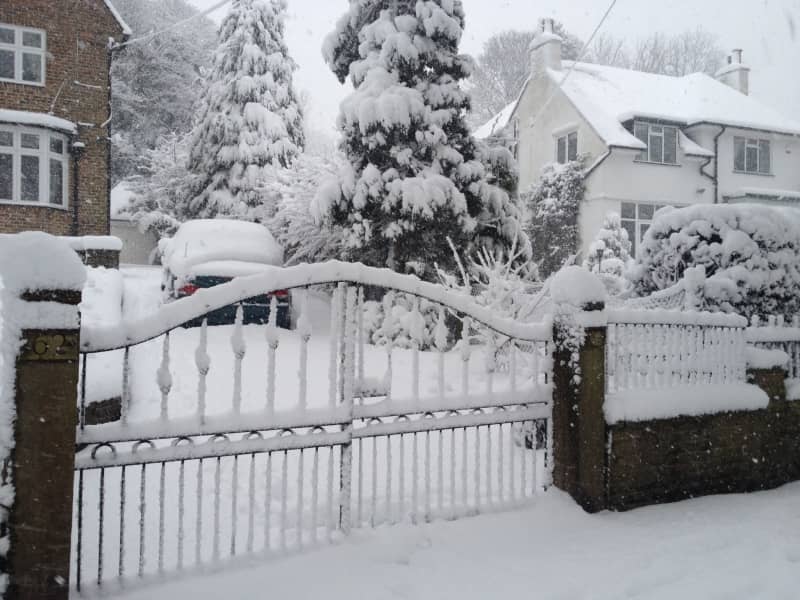 Housesitting assignment in Sheffield, United Kingdom