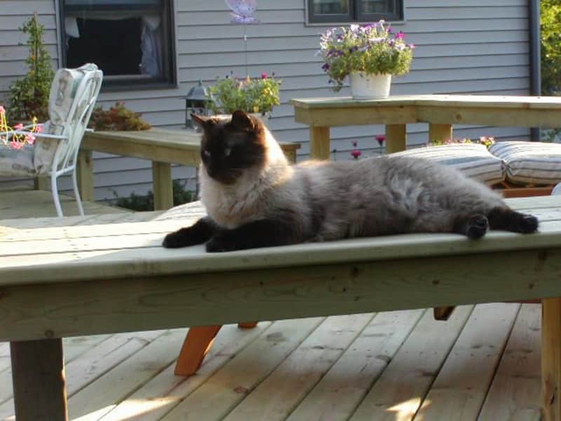 Suzanne from DeWitt, Michigan, United States