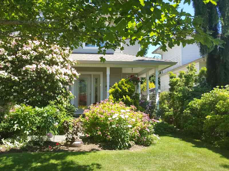 Housesitting assignment in Campbell River, British Columbia, Canada