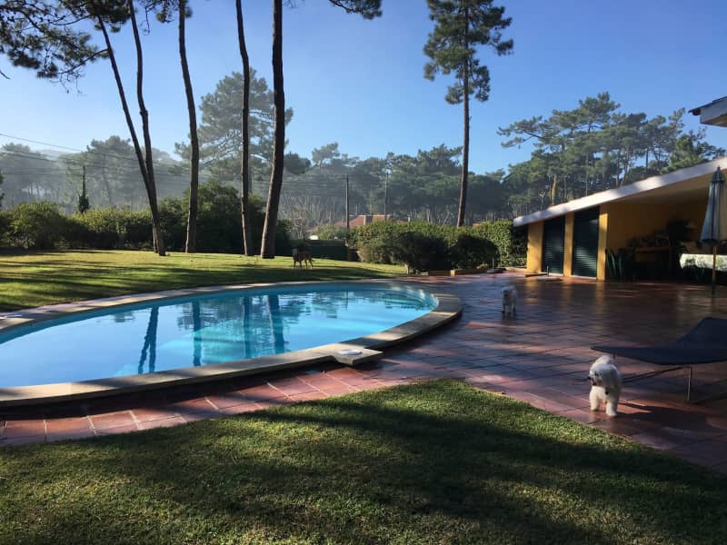 Housesitting assignment in Lisbon, Portugal