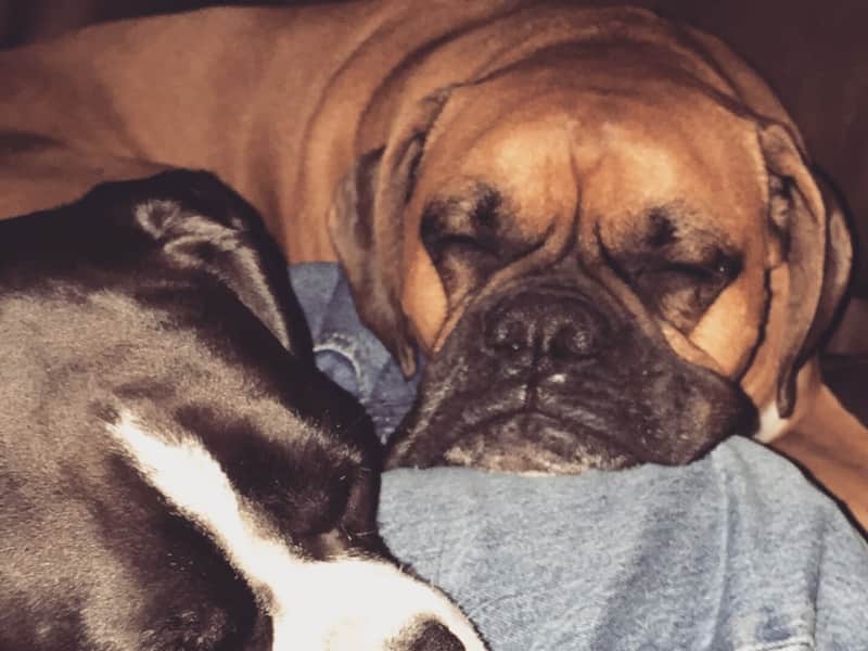 Diane & Gary from Oakbank, Manitoba, Canada