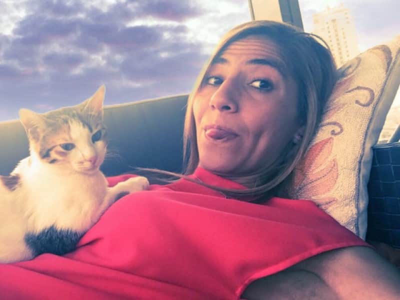 Housesitting assignment in Jaddāf, United Arab Emirates