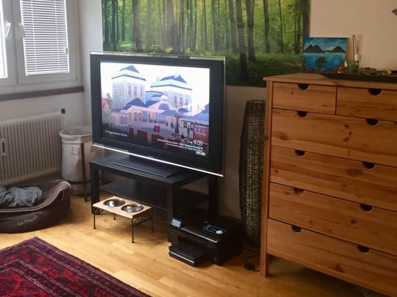 Housesitting assignment in Vienna, Austria
