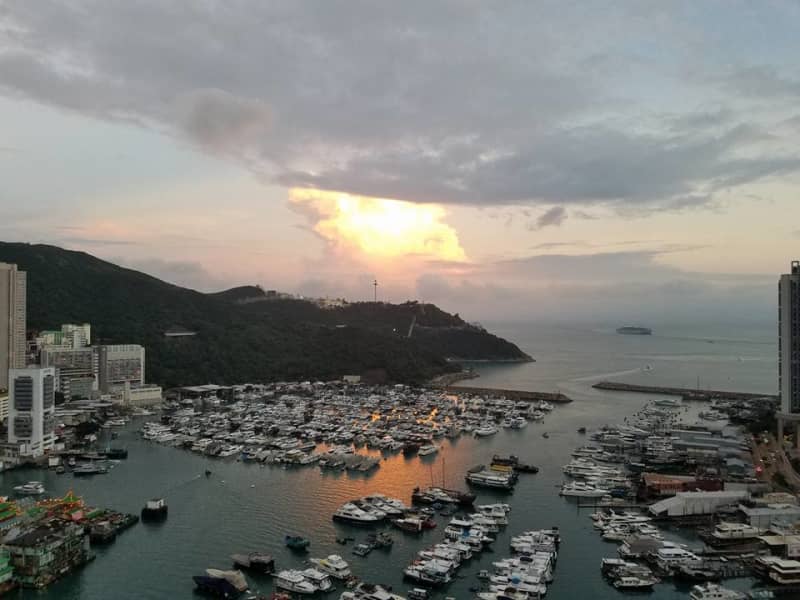 Housesitting assignment in Hong Kong, Hong Kong