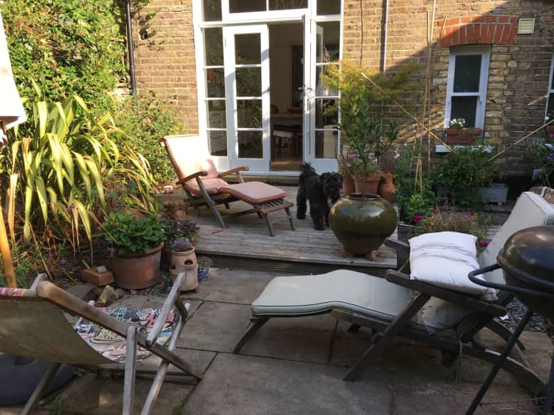 Housesitting assignment in Crouch End, United Kingdom
