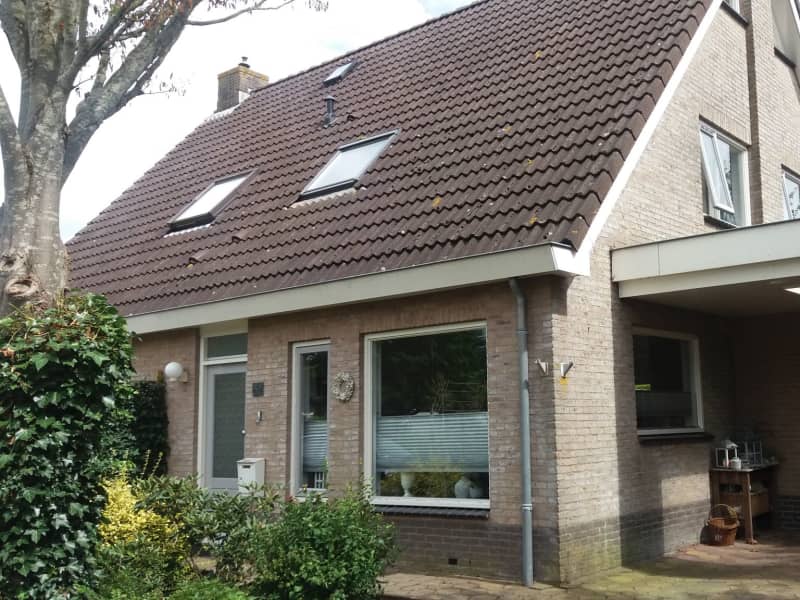 Housesitting assignment in Joure, Netherlands