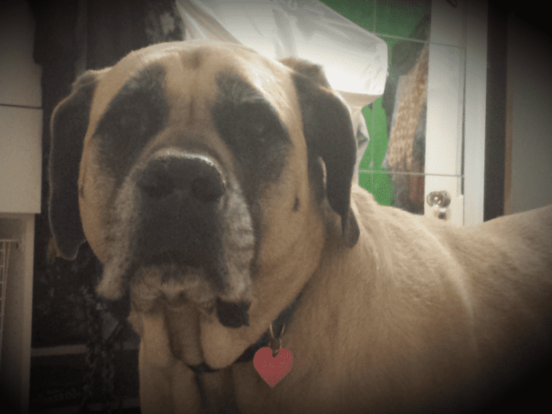 Kelli from Los Angeles, California, United States