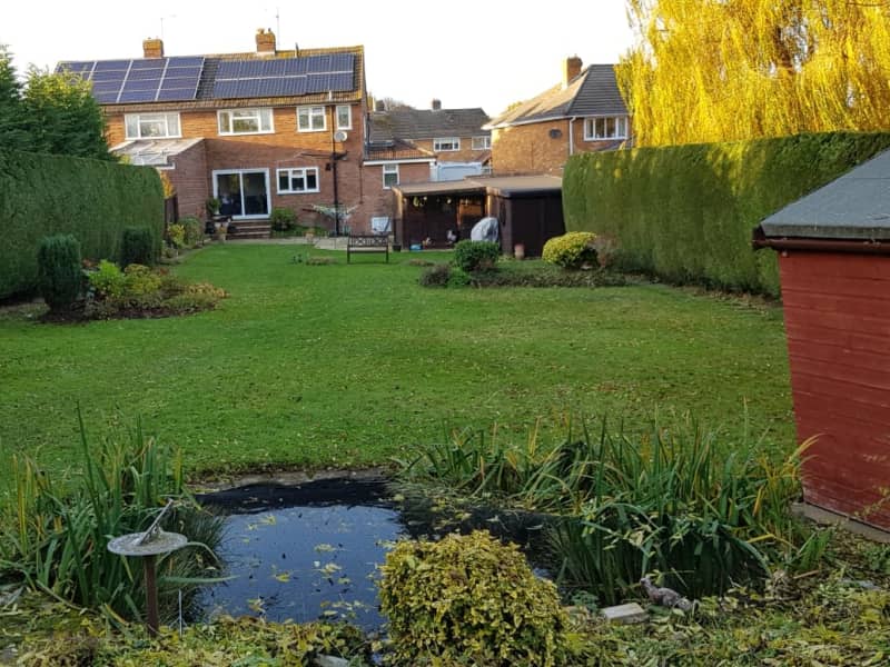 Housesitting assignment in Wokingham, United Kingdom