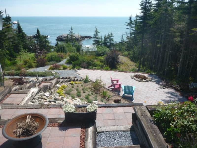 Housesitting assignment in Saint John, New Brunswick, Canada