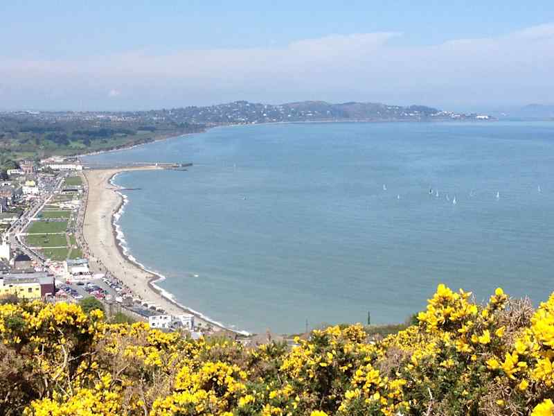Housesitting assignment in Bray, Ireland
