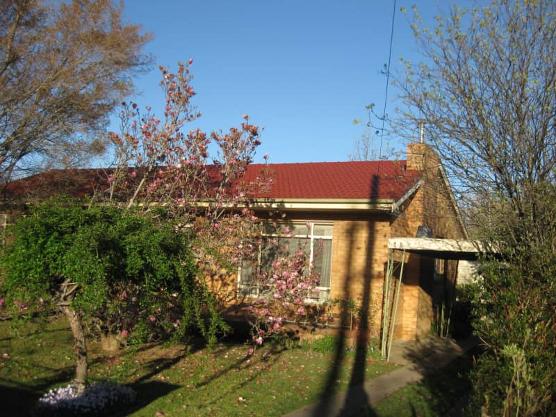 Housesitting assignment in Orange, New South Wales, Australia