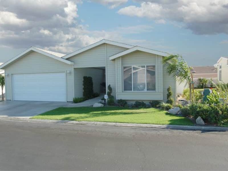 Housesitting assignment in Desert Hot Springs, California, United States