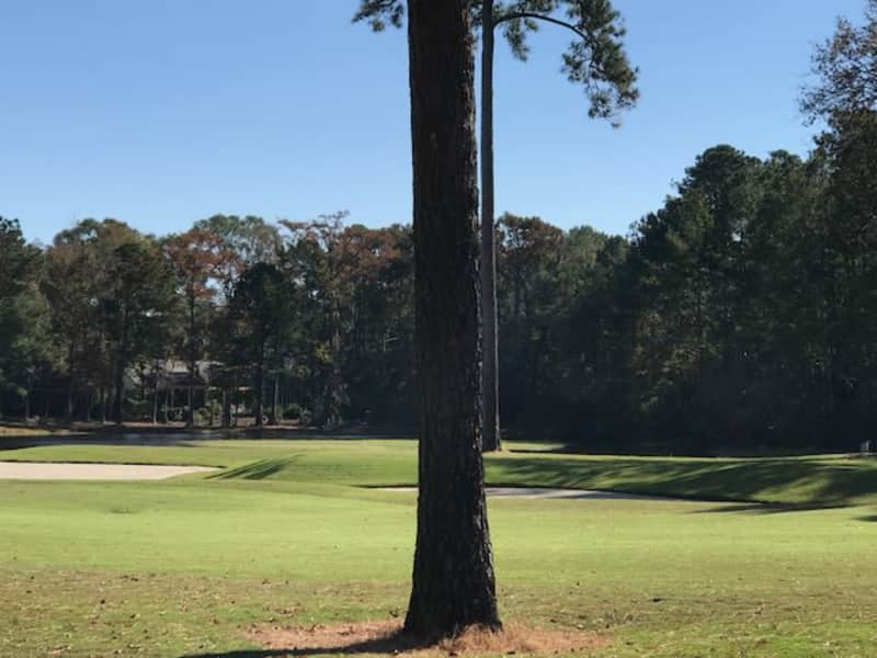 Housesitting assignment in Pawleys Island, South Carolina, United States