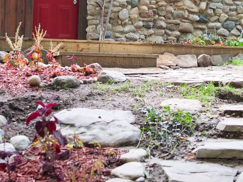 Housesitting assignment in Hockley Valley, Ontario, Canada