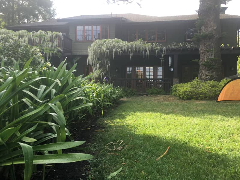 Housesitting assignment in Mill Valley, California, United States