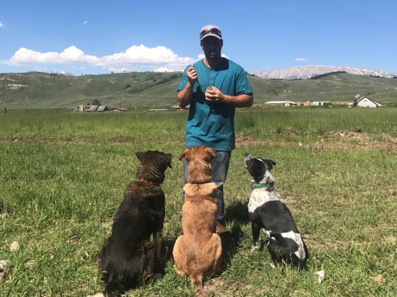 Housesitting assignment in Bondurant, Wyoming, United States