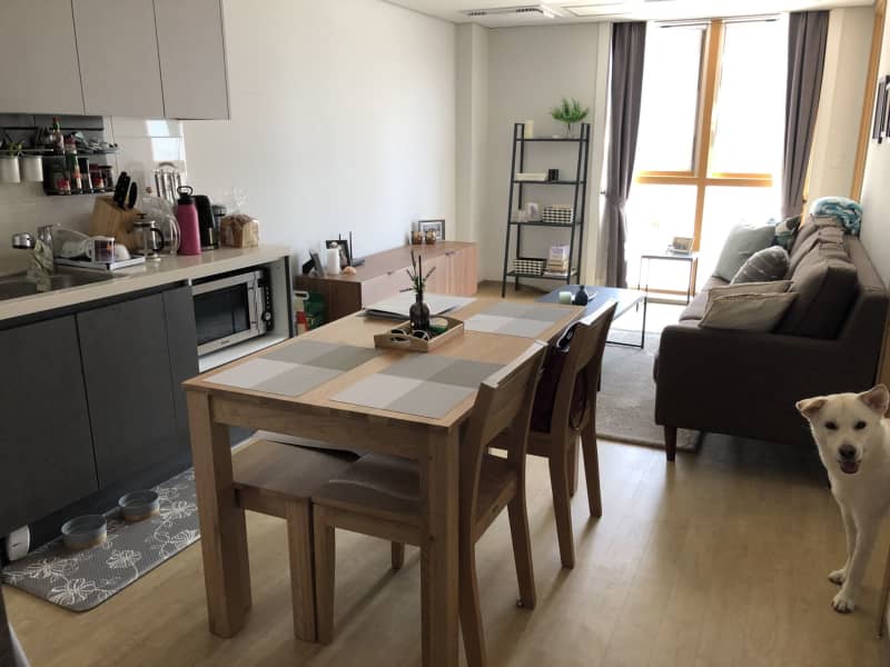 Housesitting assignment in Seogwipo, South Korea
