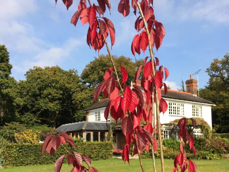 Housesitting assignment in Lewes, United Kingdom