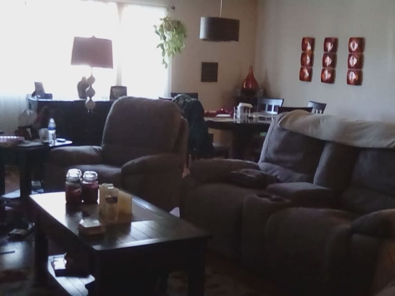 Housesitting assignment in Willow Grove, Pennsylvania, United States