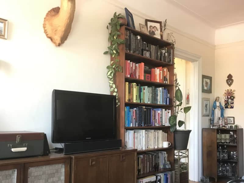 Housesitting assignment in Brooklyn, New York, United States
