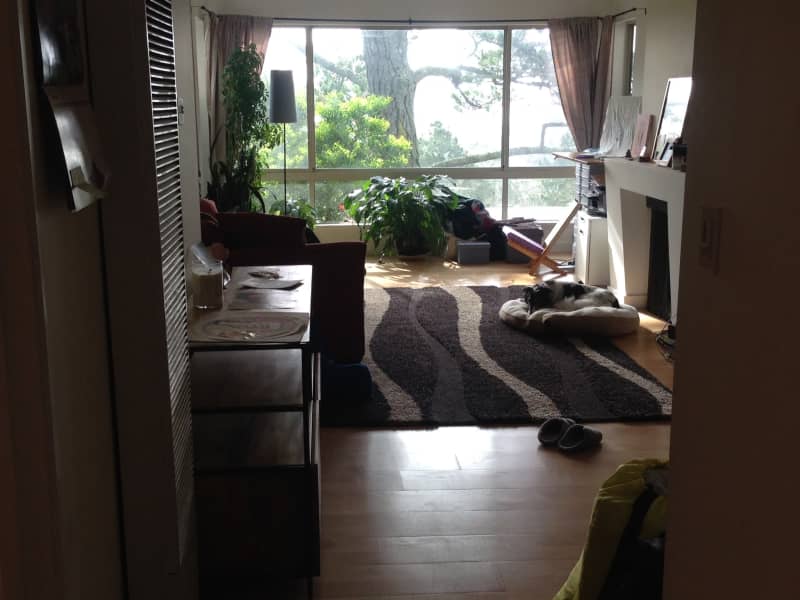 Housesitting assignment in San Francisco, California, United States