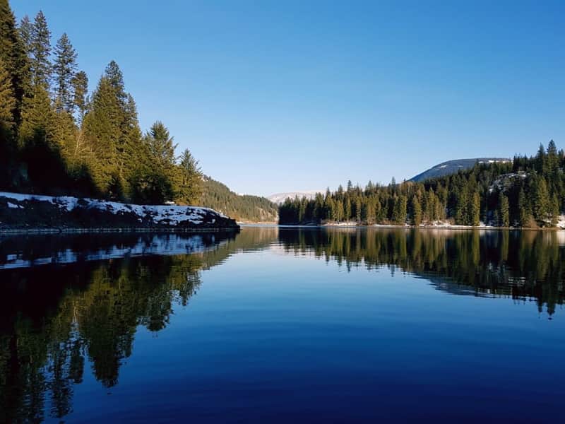Housesitting assignment in Nelson, British Columbia, Canada