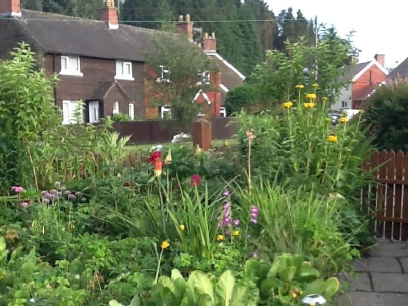 Housesitting assignment in Llanwrtyd Wells, United Kingdom