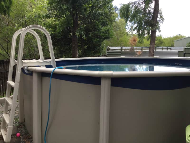 Housesitting assignment in Manunda, Queensland, Australia