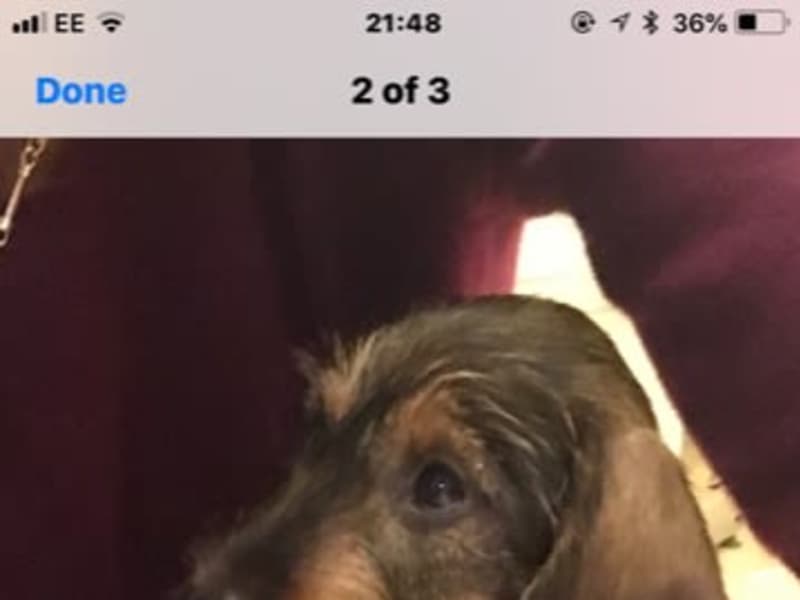 Housesitting assignment in Stroud, United Kingdom