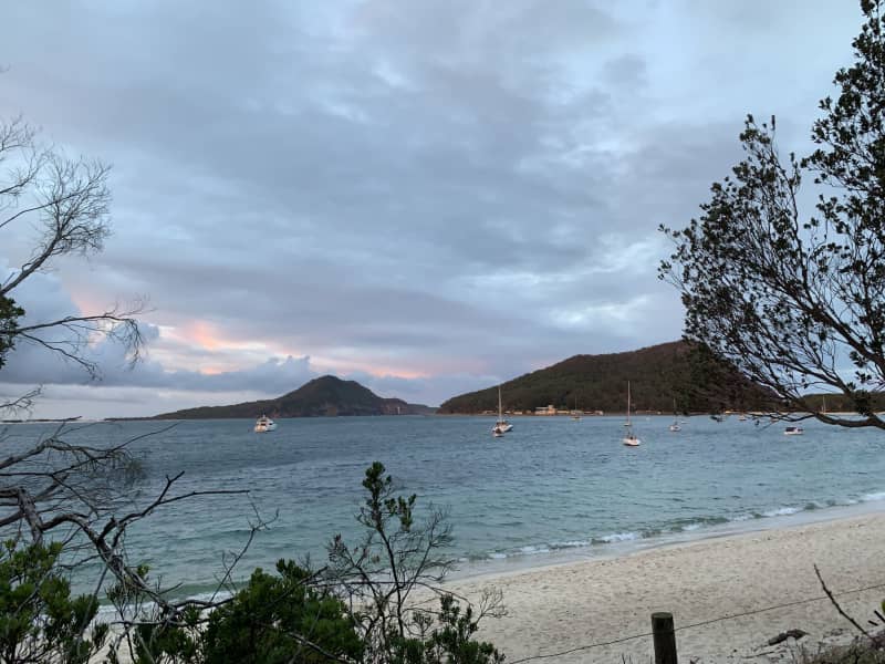 Housesitting assignment in Salamander Bay, New South Wales, Australia