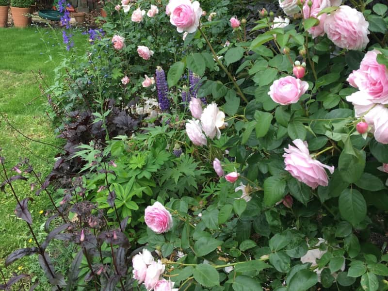 Housesitting assignment in Bath, United Kingdom