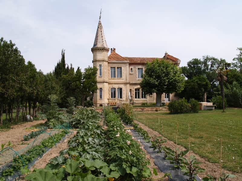 Housesitting assignment in Narbonne, France